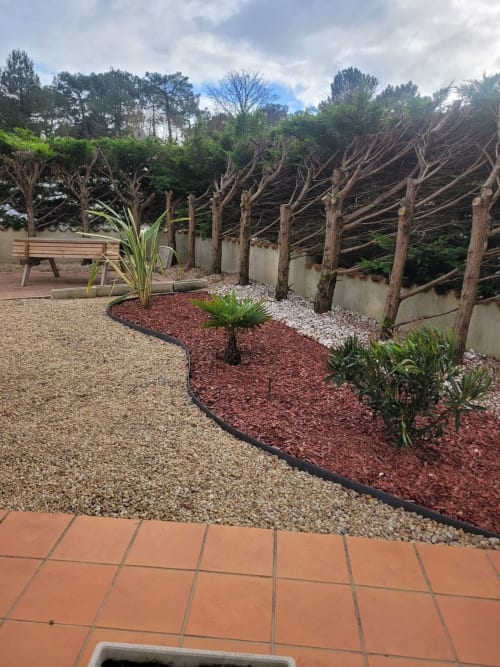 Cour de jardin contemporain à Val'Déco avec arbres taillés, massifs de paillis décoratif et banc en bois aux Ponts de Cé