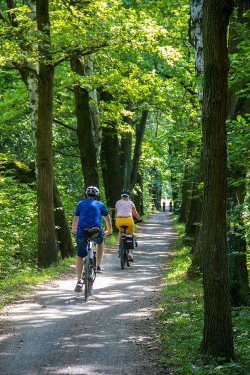 Deux cyclistes sur un chemin bordé d'arbres près de Val'Déco Conciergerie aux Ponts de Cé