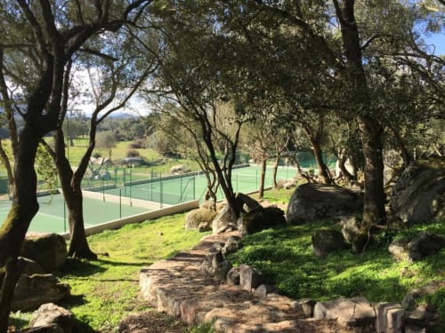 Tree-lined garden pathway at Sweet Holiday Porto-Vecchio with tennis courts visible through trees and green lawn