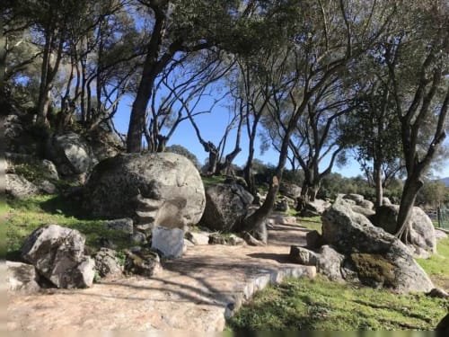 Ancient stone sculptures along wooded path at Sweet Holiday in Porto-Vecchio with gnarled trees and green landscape