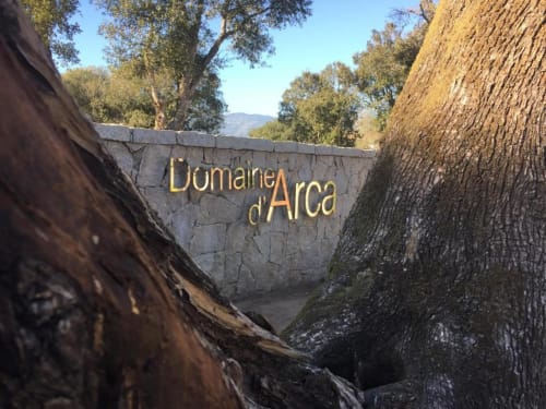 Domaine d'Arca sign nestled between ancient trees in Porto-Vecchio, Corsica countryside
