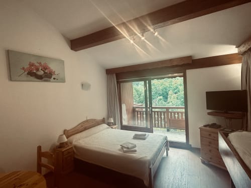 Chambre lumineuse aux Hôtel Studios La Rochetaillée avec vue montagne, poutres en bois et accès balcon