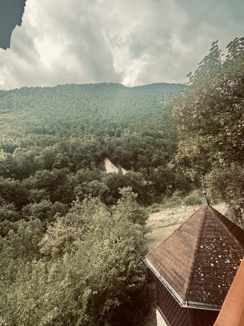 Vue panoramique depuis l'Hôtel Studios La Rochetaillée à Brides-les-Bains : sommets boisés et vallée
