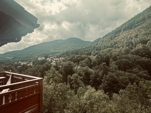Vue panoramique sur les pics boisés depuis le balcon de l'Hôtel Studios La Rochetaillée à Brides-les-Bains