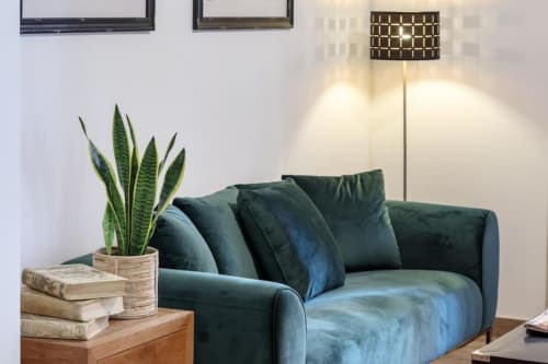 Sala moderna del Apartamento CTH Granada Green con sofá turquesa, planta serpiente, libros apilados, lámpara de piso y arte enmarcado