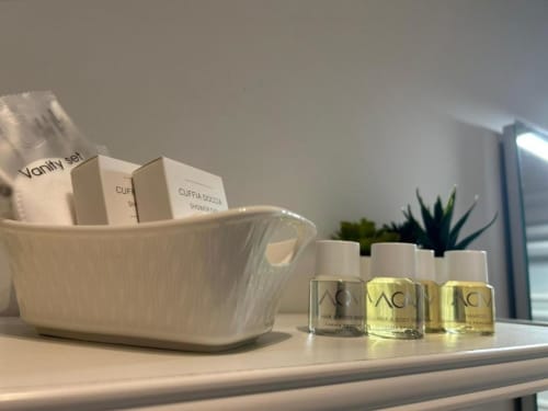 Esposizione di amenities del bagno presso AD Trastevere Guest House Roma, con set per il trucco, oli per capelli e corpo, e piante grasse in vaso