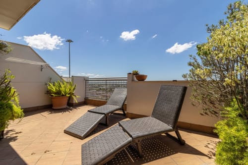 Terraza en la azotea del apartamento Top Home Integra en Jerez con tumbonas, plantas en macetas y vistas a la ciudad