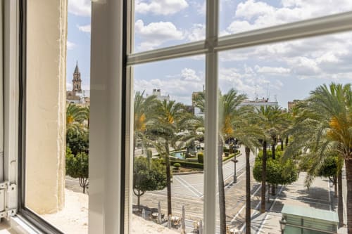 Vista de la ciudad desde el apartamento Top Home Integra en Jerez de la Frontera con palmeras y catedral