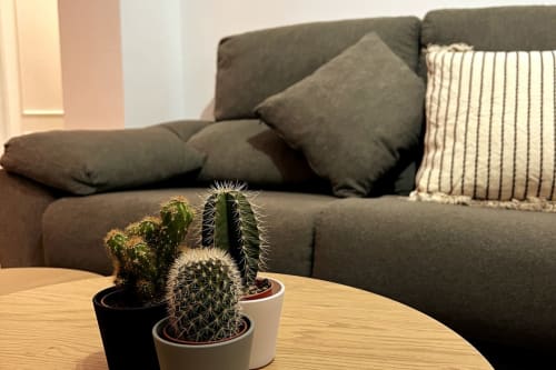 Sala de estar moderna en Top Home Integra Jerez con sofá gris, cactus decorativos sobre mesa de madera y cojines a rayas
