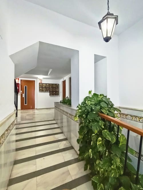 Pasillo del edificio con piso a rayas, planta en maceta, puerta marrón y lámpara colgante en Top Home Integra de Jerez de la Frontera