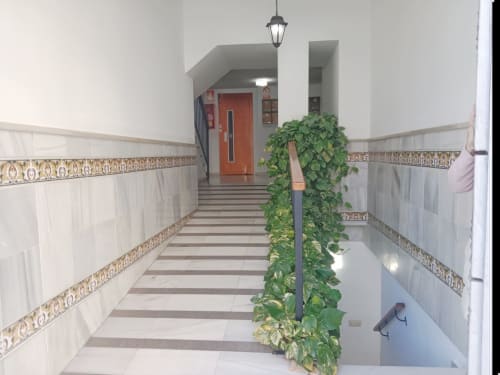 Moderno pasillo del apartamento Top Home Integra en Jerez de la Frontera con paredes blancas, azulejos decorativos e hiedra trepadora