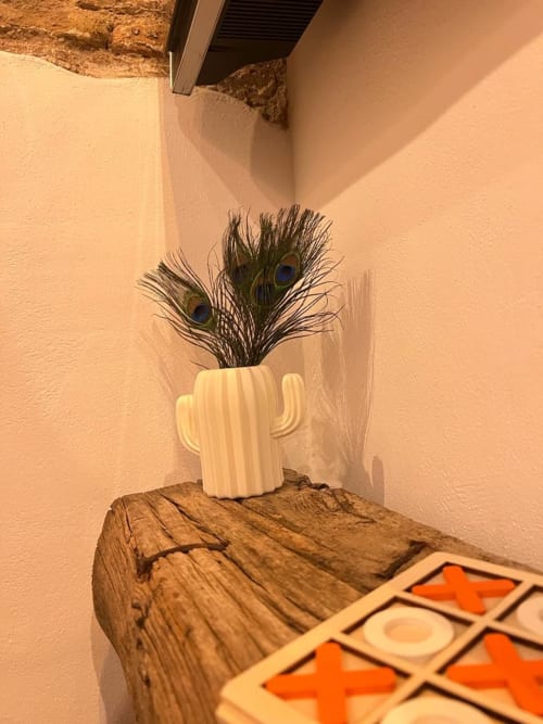 Jarrón de cactus crema con plumas de pavo real en estantería de madera en el apartamento Top Home Integra de Jerez