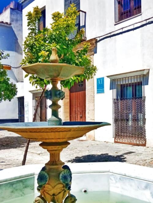 Encantadora fuente en el patio de Top Home Integra en Jerez de la Frontera con enredaderas y acabados blancos tradicionales
