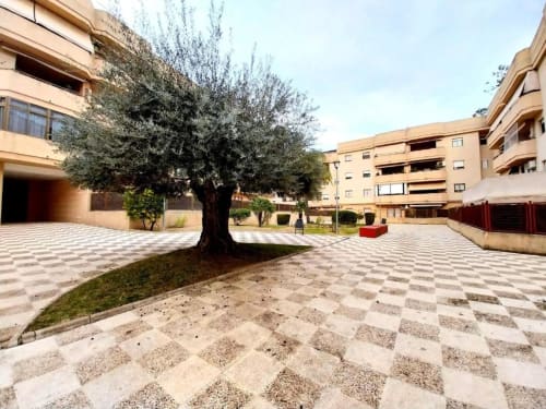 Patio del apartamento Top Home Integra en Jerez de la Frontera con olivo, pavimento ajedrezado y área circundante