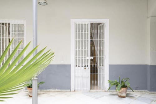 Patio moderno del complejo Top Home Integra en Jerez con puerta de seguridad blanca, plantas en macetas y muro azul