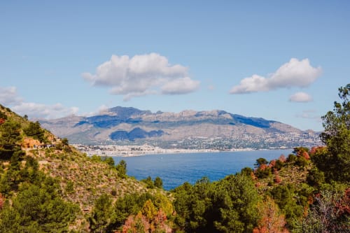 Mediterranean coastal view of Altea with mountains, beach, and sea visible from hillside forest setting