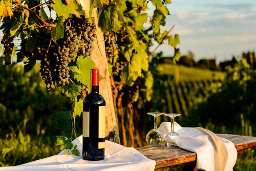 Bottiglia di vino e bicchieri alla vigna Tenuta Alela a Figline Valdarno, Toscana con vigneti