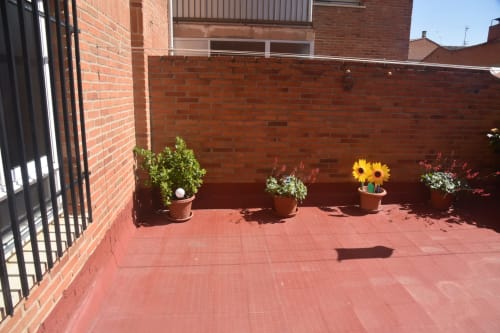 Sunny terrace with potted flowers and brick walls at Benavente tourist apartment