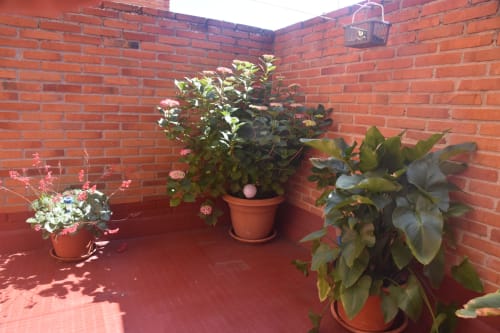 Red brick terrace with potted flowers and plants at a tourist apartment in Benavente city center