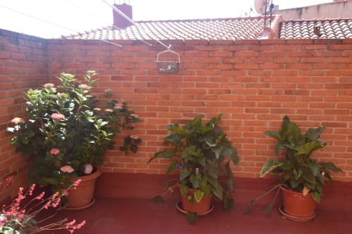 Rooftop terrace in Benavente with potted plants against red brick wall and tiled roof