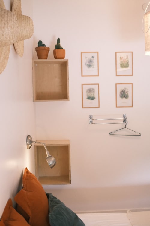Mur cosy de la Maison Monsieur Léger avec étagères en bois, cactus en pots, estampes botaniques et décor rustique à Montaut