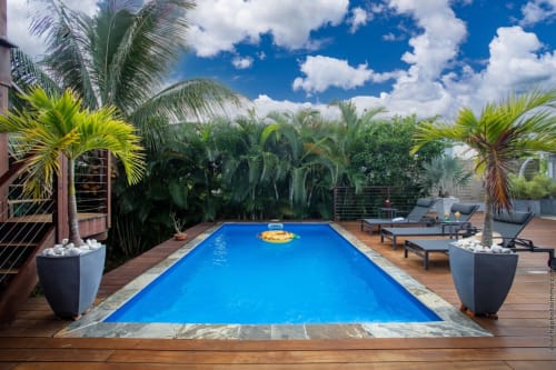 Luxury villa in Fort-de-France with heated saltwater pool, tropical palm landscaping, wooden deck, lounge chairs, and blue