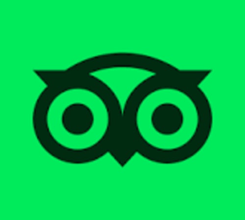 Icône de chouette noire sur fond vert, logo Hôtel Saint Roch, Saint Ybard France