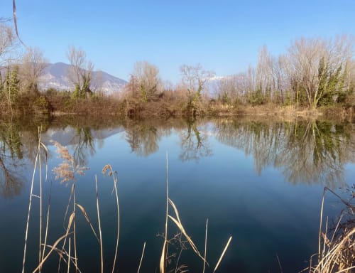 Ruhiger Seeblick mit Schilfrohr und Bergkulisse im Verdolivo B&B in Sale Marasino, Italien