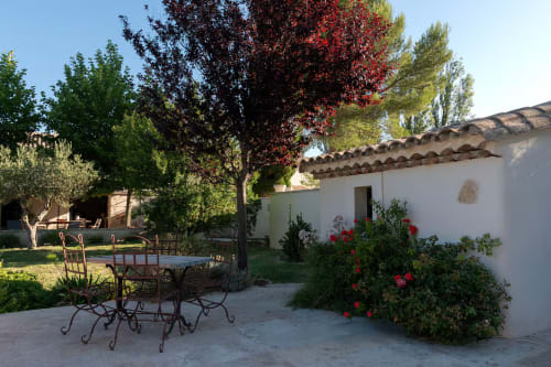 Rustic Provençal cottage courtyard with dining furniture, flowering red roses, and mature trees at Mas St André in