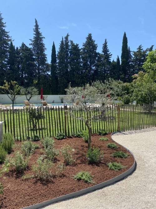 Mas St André garden with olive trees, Mediterranean plants, pool view, and cypress trees in Saint-Andiol, France