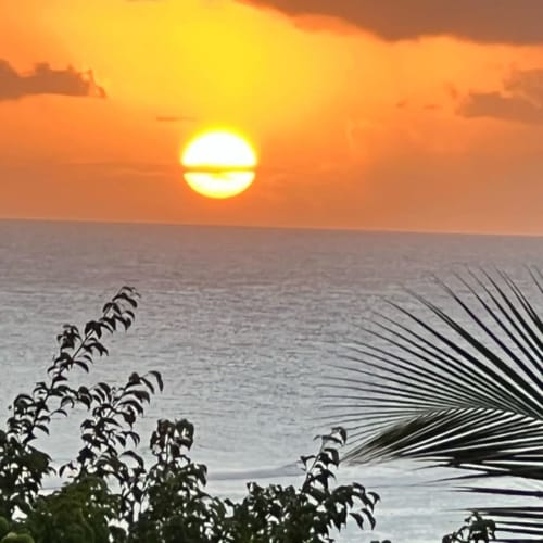 Coucher de soleil sur l'océan à Chez Marie et Philippe en Marie-Galante avec des frondes de palmiers tropicaux