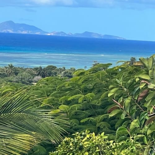 Vue côtière tropicale depuis Chez Marie et Philippe à Marie-Galante avec végétation luxuriante et montagnes