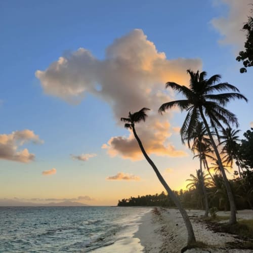 Plage tropicale au coucher de soleil avec palmiers et eau turquoise à Marie-Galante, Guadeloupe