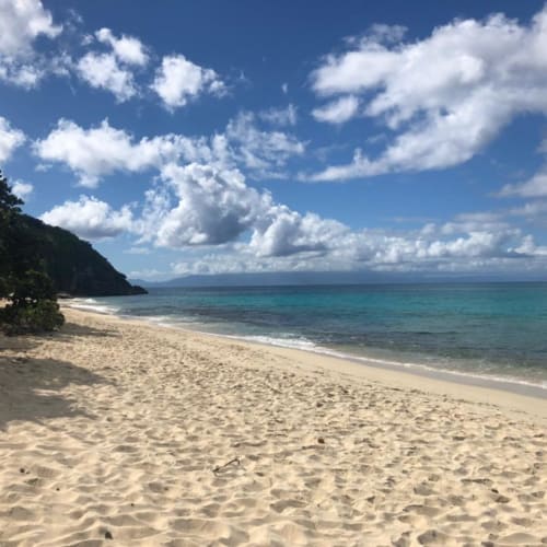 Plage de sable immaculée à Chez Marie et Philippe en Marie-Galante avec eaux turquoise et ciel bleu