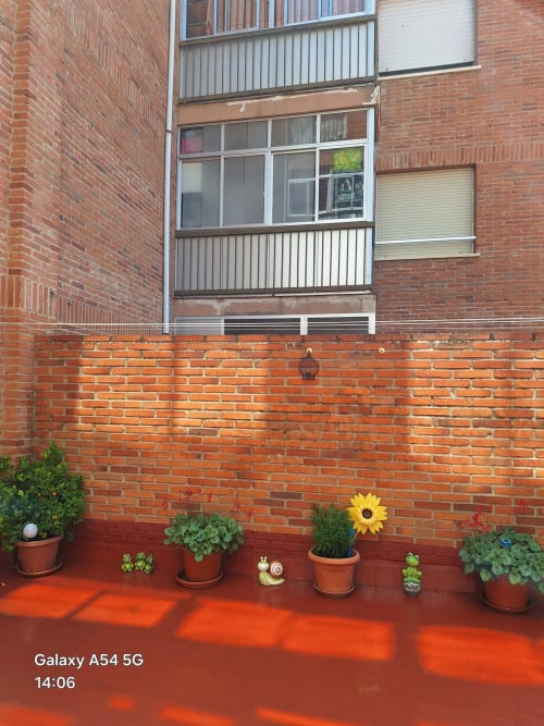 Sunny patio of tourist apartment in Benavente with potted plants and flowers against brick wall