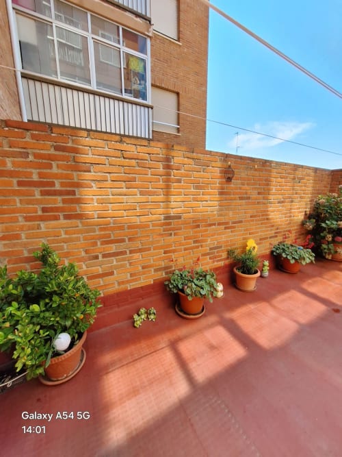 Sunny terrace with potted flowers and brick wall, Benavente vacation rental