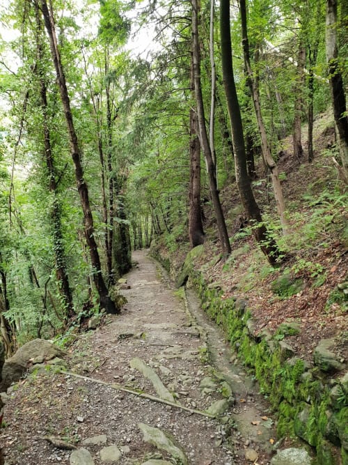 Forest hiking trail near Villa Vista Lago di Como in Bellano, Italy with tall trees and moss-covered rocks