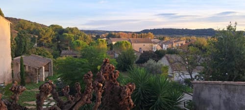 Vue sur le jardin de l'appartement Chez Laure & Marc à Plaissan, avec cactus, paysage rural et pierre traditionnelle