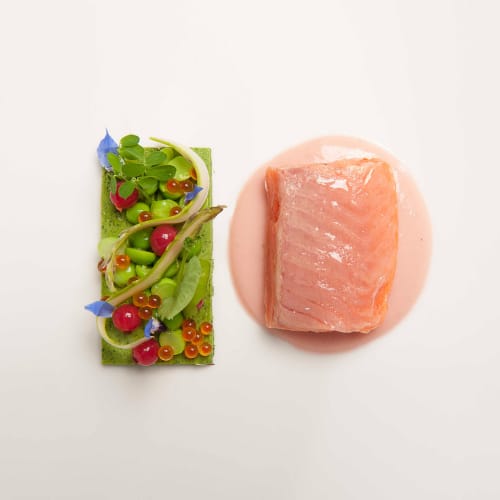 Filete de salmón fresco y plato gourmet de verduras en Hotel San Giovanni Resort, Saluzzo