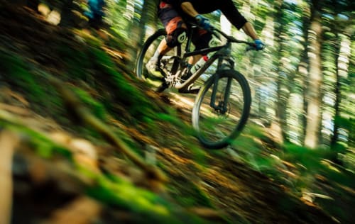 Vttiste dévale une piste près d'Arengosse, activités d'aventure au Baccara Lodge