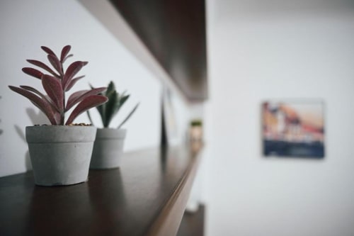 Pianta in vaso con foglie bordeaux sulla scrivania di un appartamento a Roma con vista sulla città e foto incorniciata