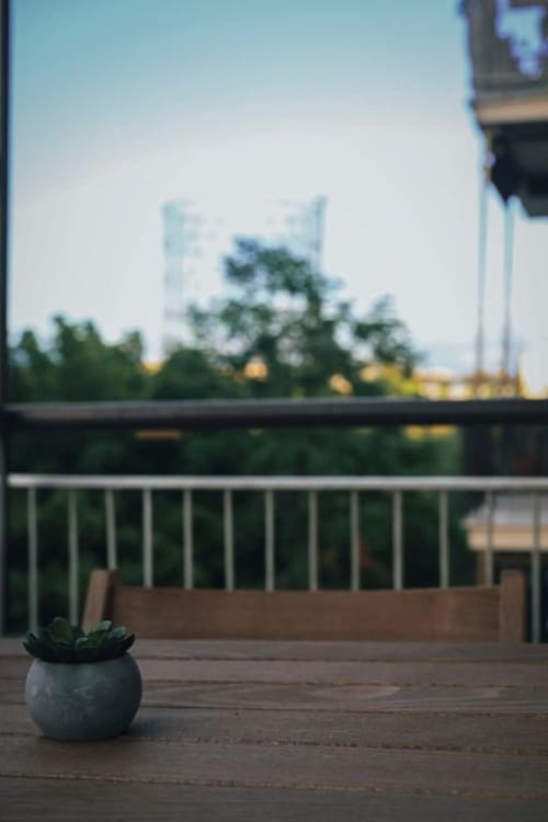 Piccola pianta succulenta su balcone in legno con vista sul panorama di Roma, alberi e edifici