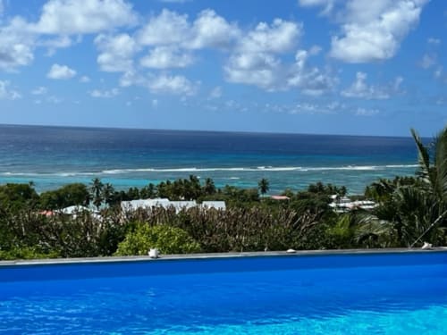 Piscine à débordement face à la mer des Caraïbes turquoise et palmiers à Chez Marie et Philippe, Marie-Galante
