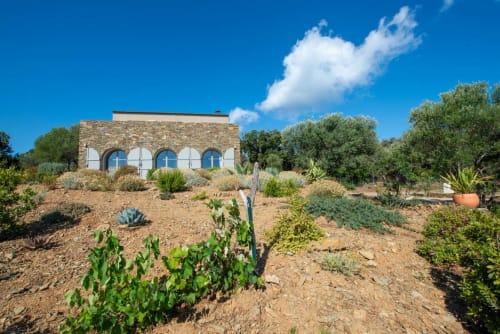 Villa Camille à Centuri, Corse : architecture en pierre, volets bleus et jardin méditerranéen sous ciel dégagé