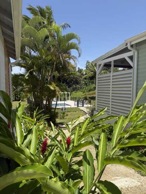 Jardin tropical avec fleurs de gingembre rouge au Domaine de la Glacière à Petit-Bourg, Guadeloupe