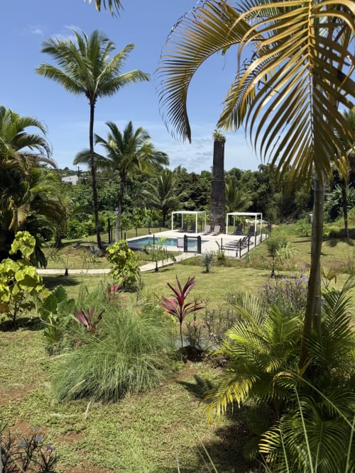 Jardin tropical du Domaine de la Glacière à Petit Bourg avec palmiers, piscine et espace détente