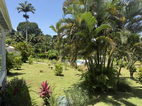 Magnifiques jardins tropicaux du Domaine de la Glacière à Petit-Bourg avec palmiers, pelouse verdoyante et plantes fleuries colorées.