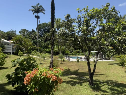 Jardins tropicaux luxuriants avec piscine au Domaine de la Glacière, Petit-Bourg Guadeloupe