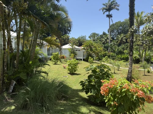 Jardin tropical luxuriant du Domaine de la Glacière avec bungalows créoles blancs entourés de palmiers et plantes fleuries