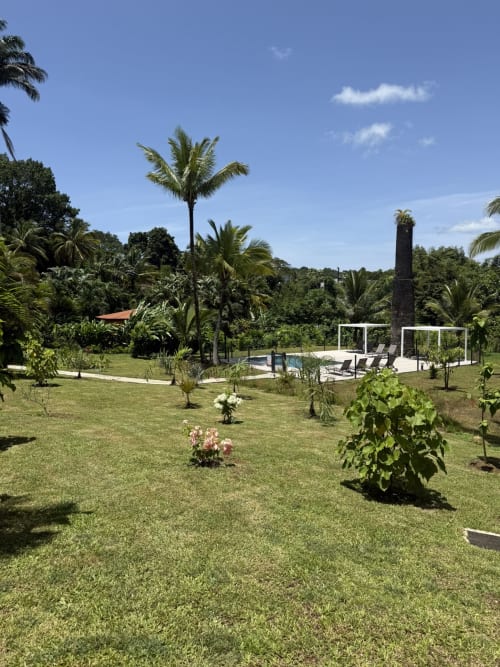 Jardins tropicaux luxuriants avec palmiers et plantes fleuries au Domaine de la Glacière, Petit-Bourg, Guadeloupe